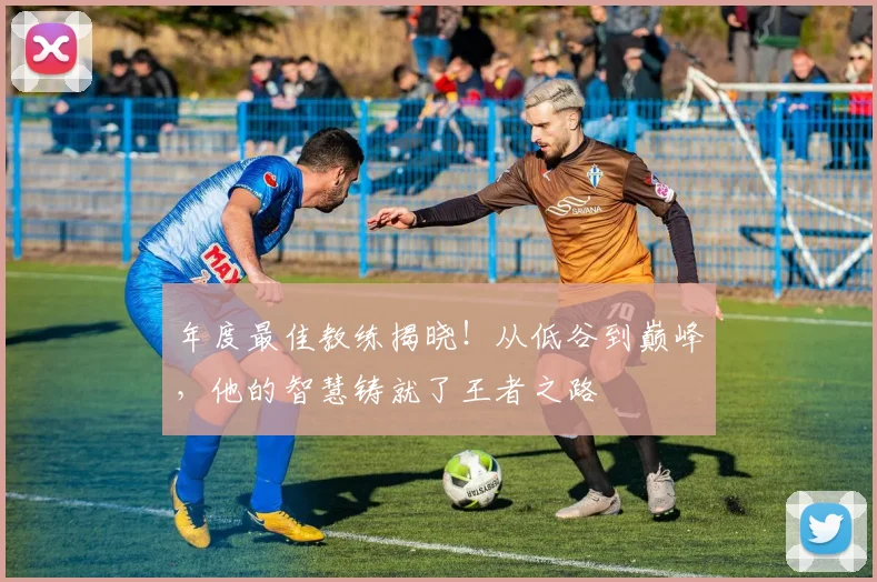 年度最佳教练揭晓!从低谷到巅峰,他的智慧铸就了王者之路