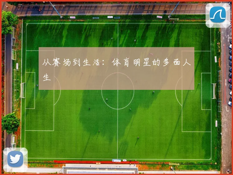 从赛场到生活：体育明星的多面人生