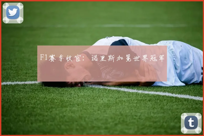 F1赛季收官：诺里斯加冕世界冠军
