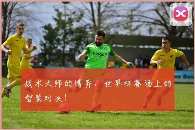 战术大师的博弈,世界杯赛场上的智慧对决!