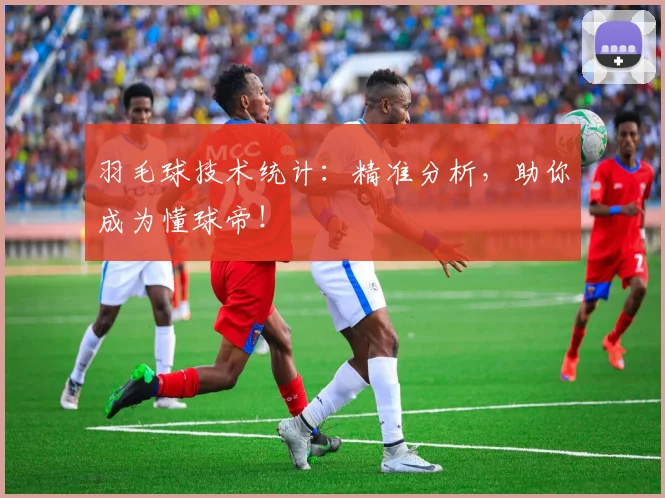 羽毛球技术统计:精准分析,助你成为懂球帝!