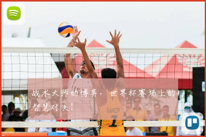 战术大师的博弈，世界杯赛场上的智慧对决！